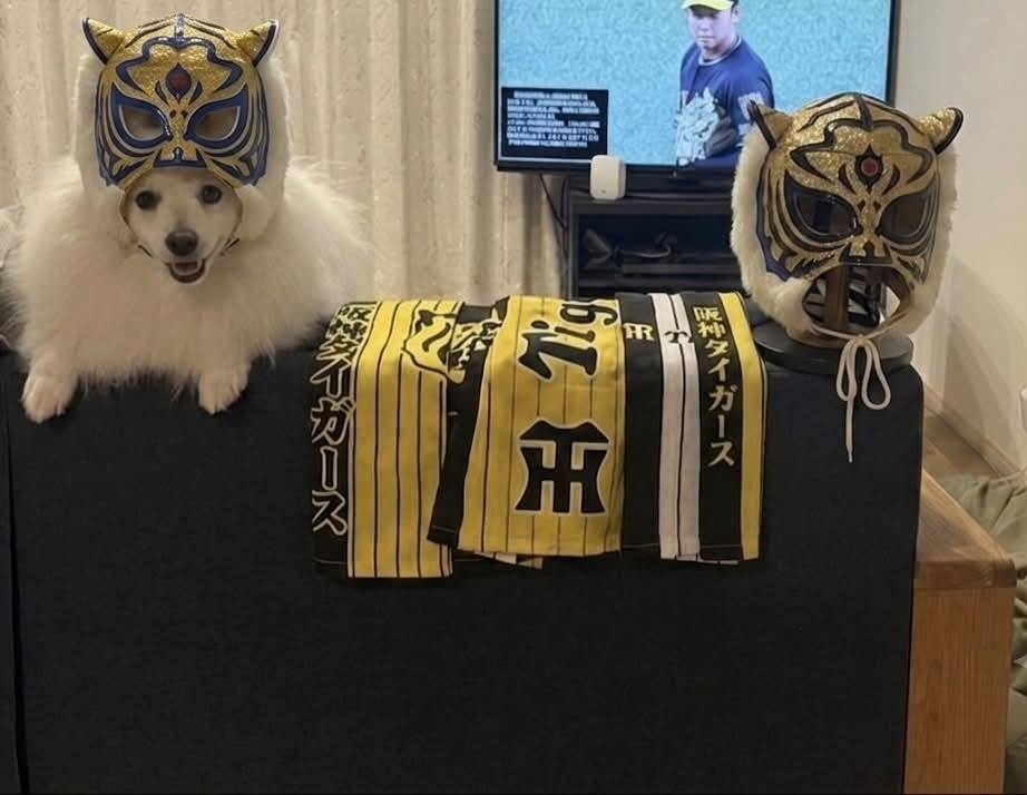 タイガーマスクに憧れて・・・ - 初代タイガーマスクこと 佐山聡先生