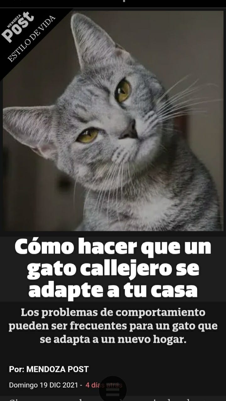 ?media id=1915888445283408