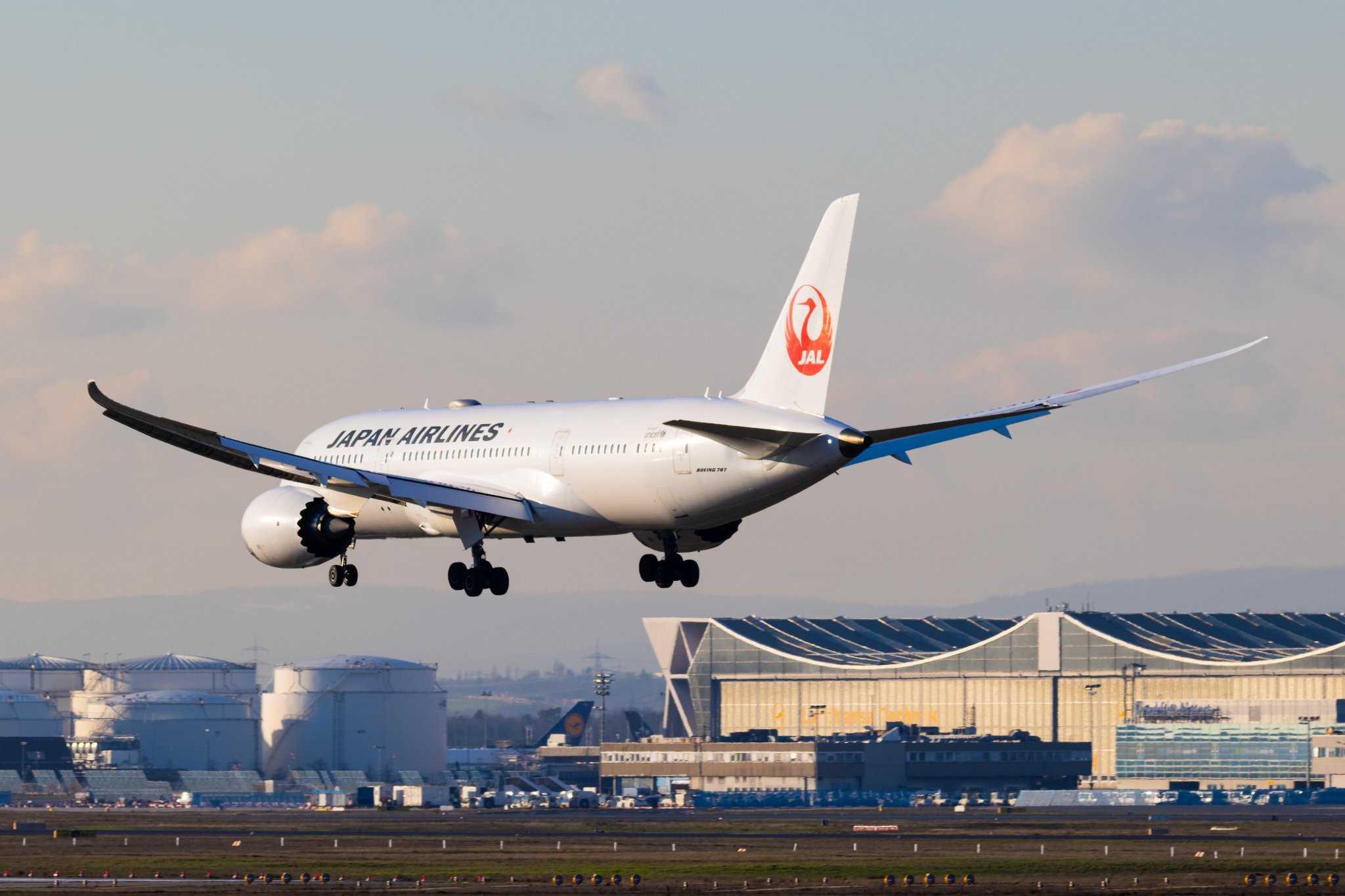 Japan Airlines B787-8 Dreamliner taking off