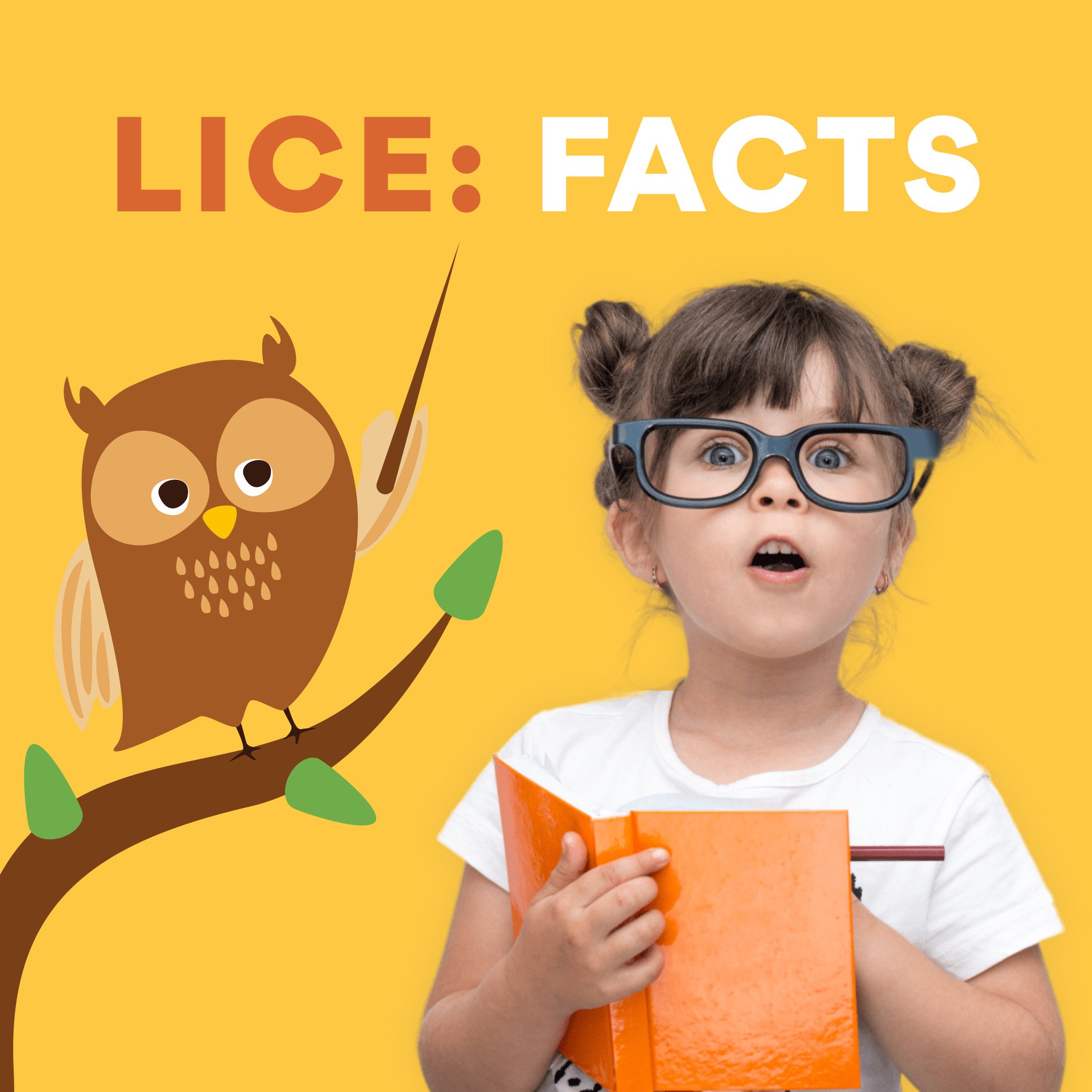Lice Troopеrs