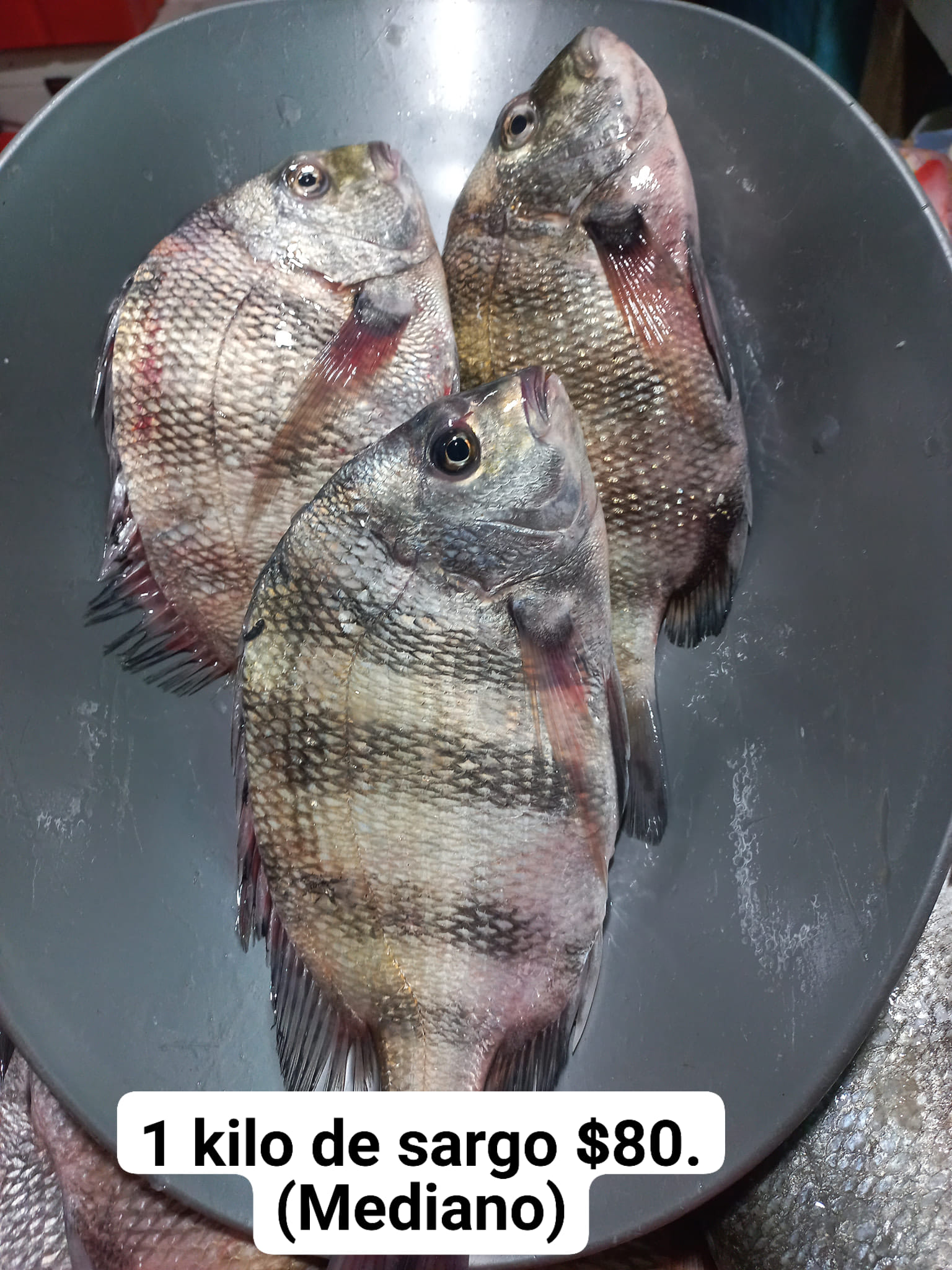 pescados-y-mariscos-laurita-tuxpan-de-rodr-guez-cano-centro