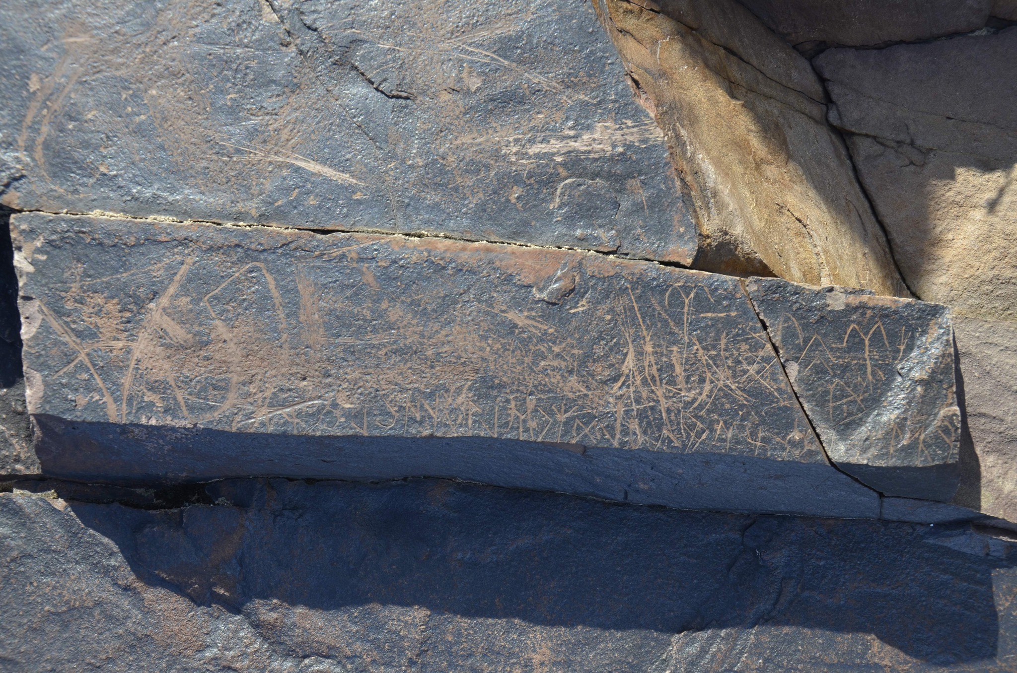 turkic.inscriptions