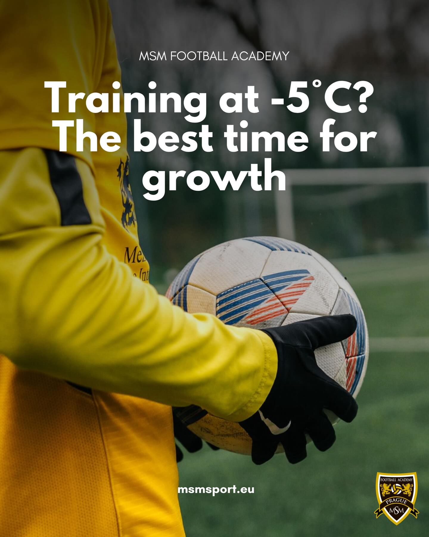 MSM... - MSM International Football Academy in Prague