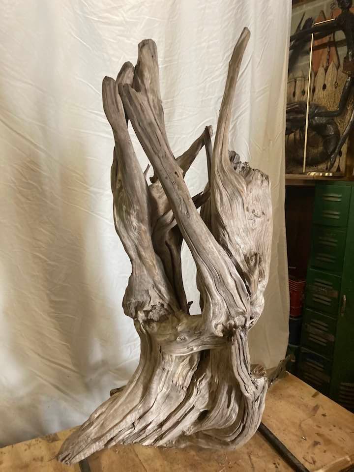 Cedar driftwood sculpture exception