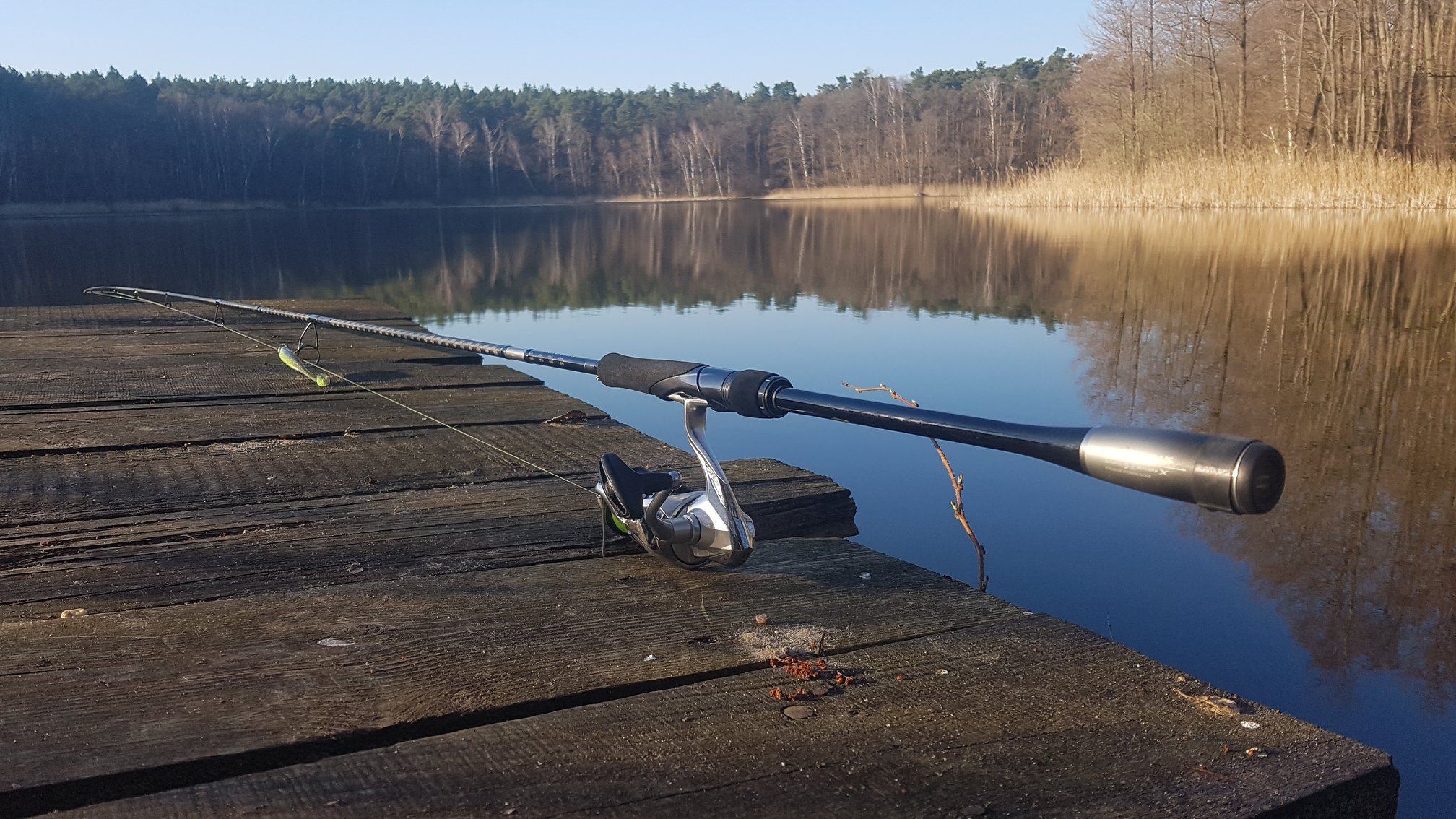 The NEW Lunamis S 86 M #Shimano #Lunamis #FishShimano