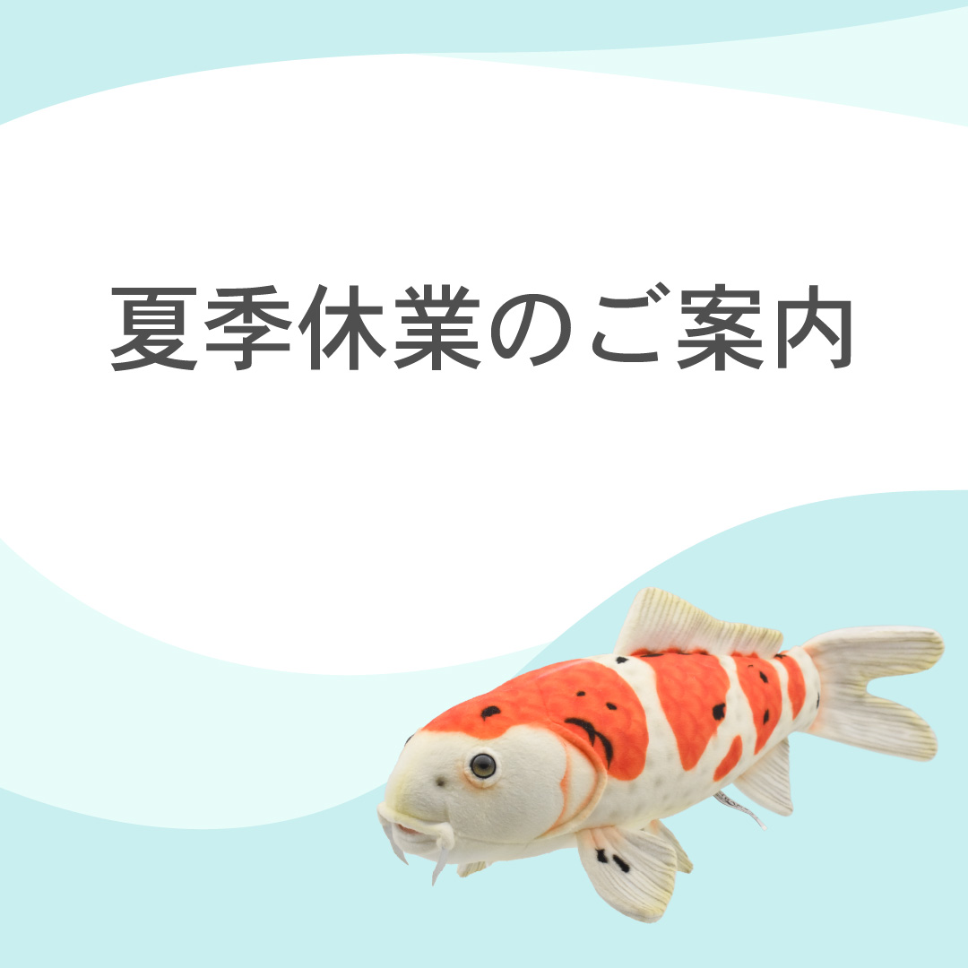 📢入荷のご案内 約110種のハンサぬいぐるみが再入荷💫 来週より順次
