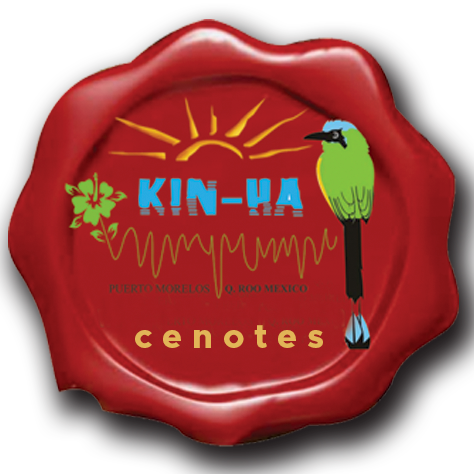 Cenotes Kin-Ha | Cancún