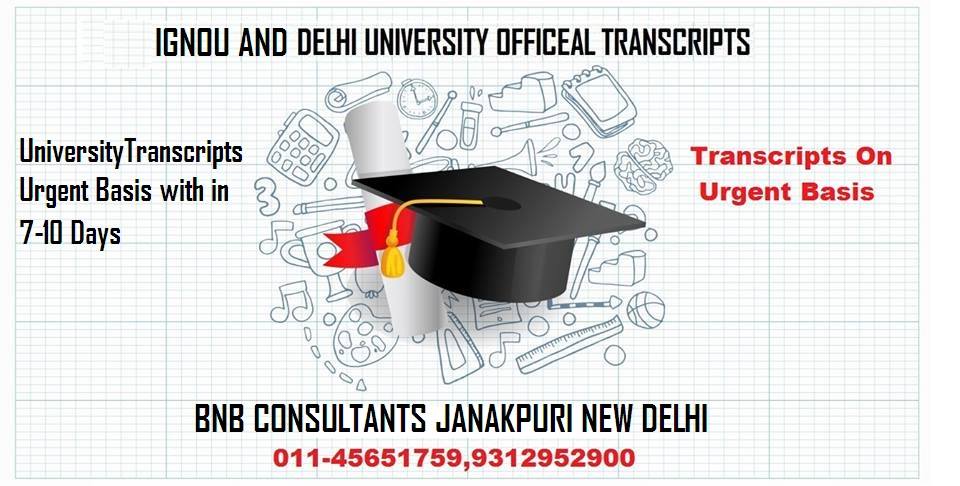 Transcript | Delhi