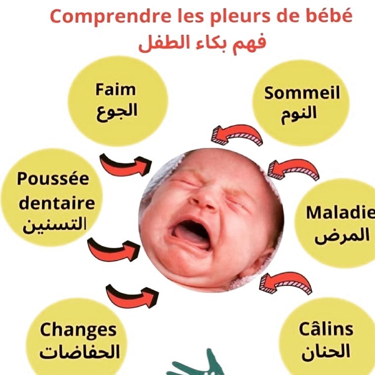 Dr Mlahfi Abdelkader Pediatre Home Facebook
