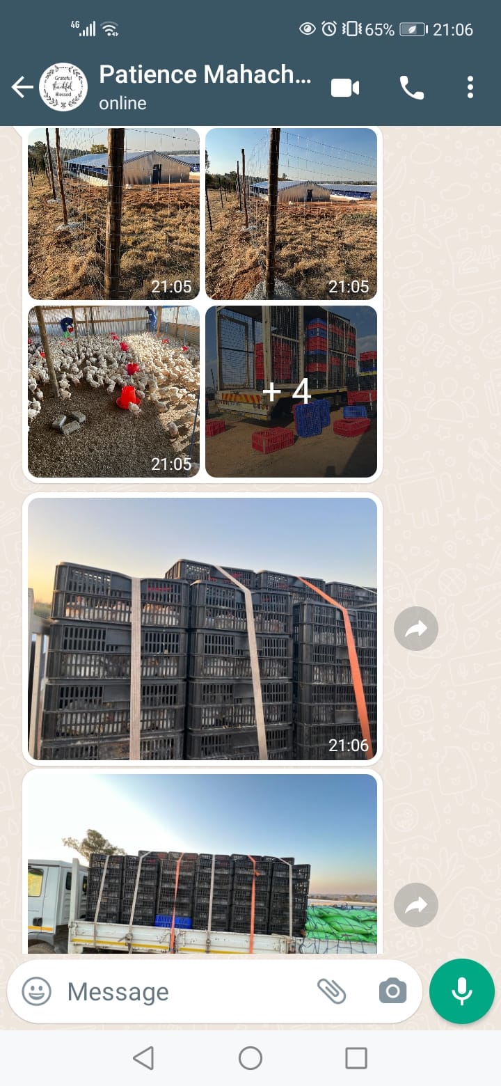 Peezel Farms 