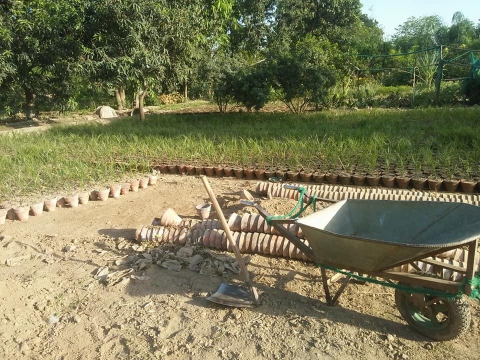 Haji Nursery Farms | Gehlan