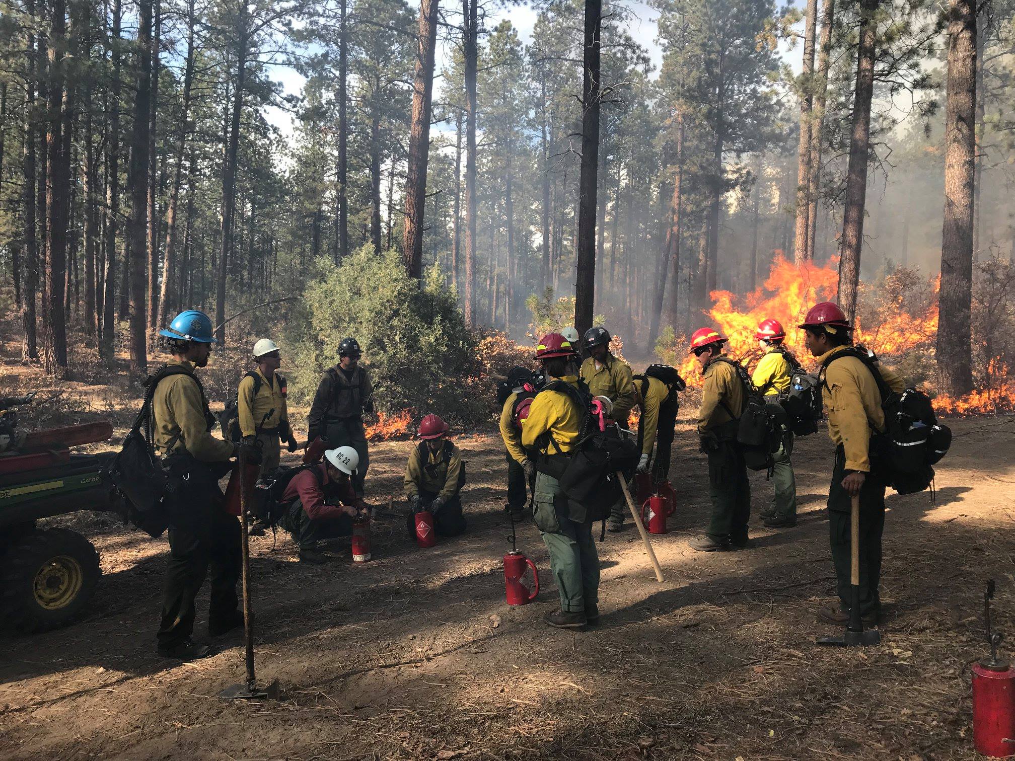 Today,... - U.S. Forest Service - Carson National Forest | Facebook