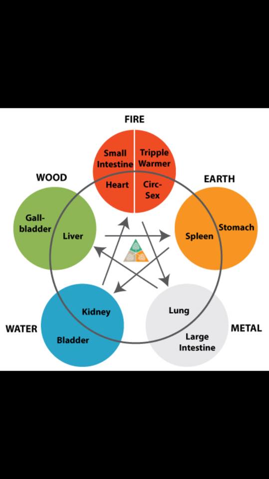 Part 1/2] 五行/wǔxíng, lit. Five Movements/Phases Wood, Fire