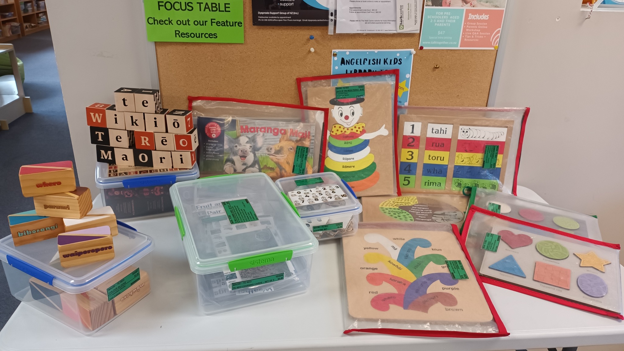 This month's focus table -... - Learning Needs Library Inc.