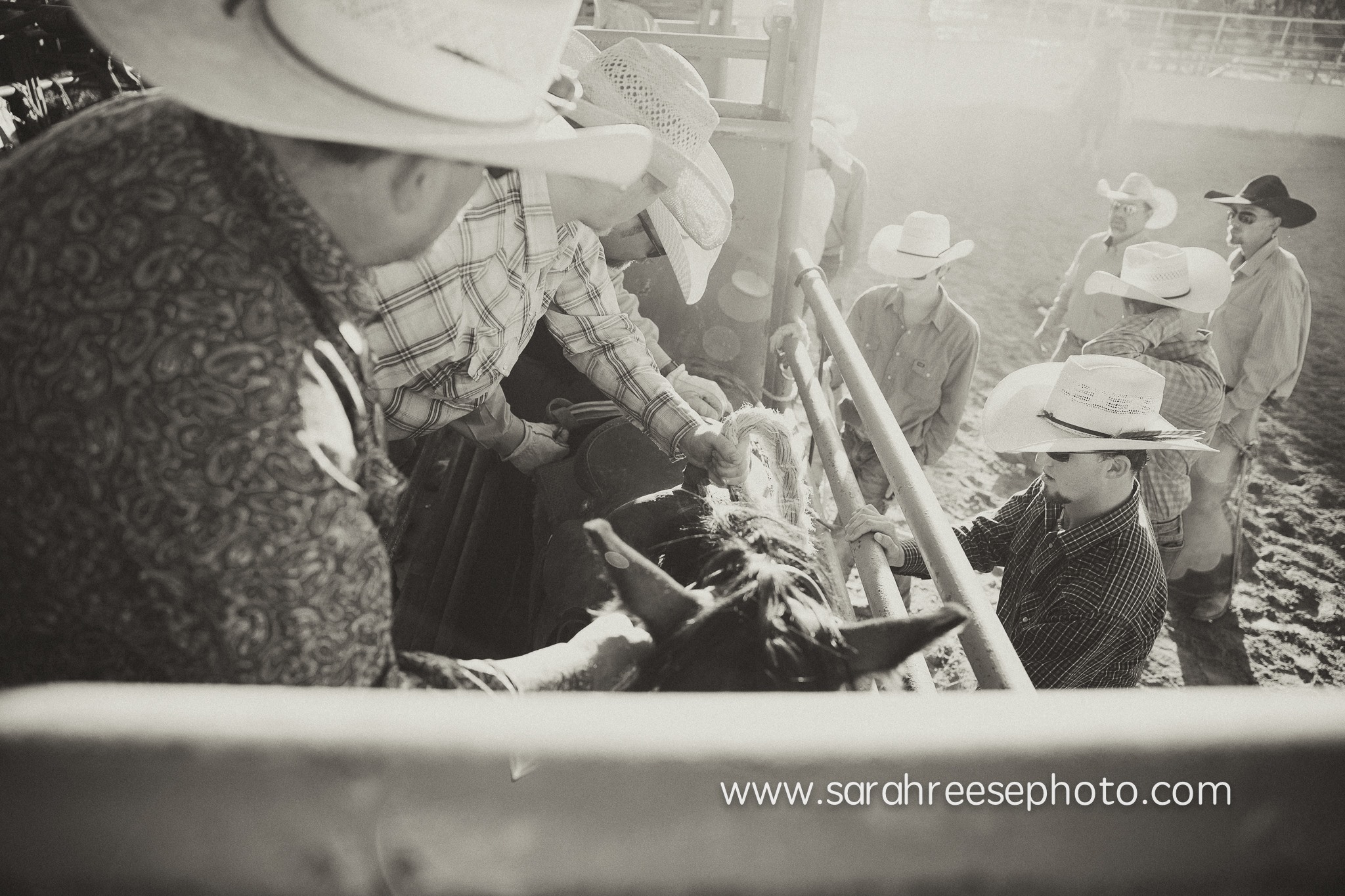 Bar-None Rodeo | Plainview TX