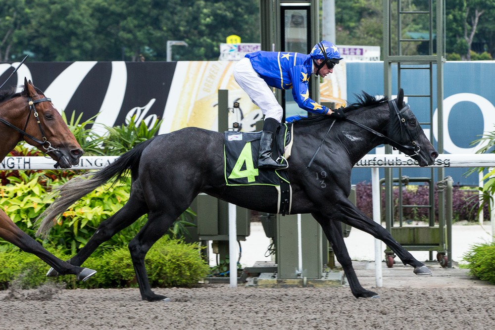 Lim's Blast managed to... - James Peters - Hardwicke Racing | Facebook