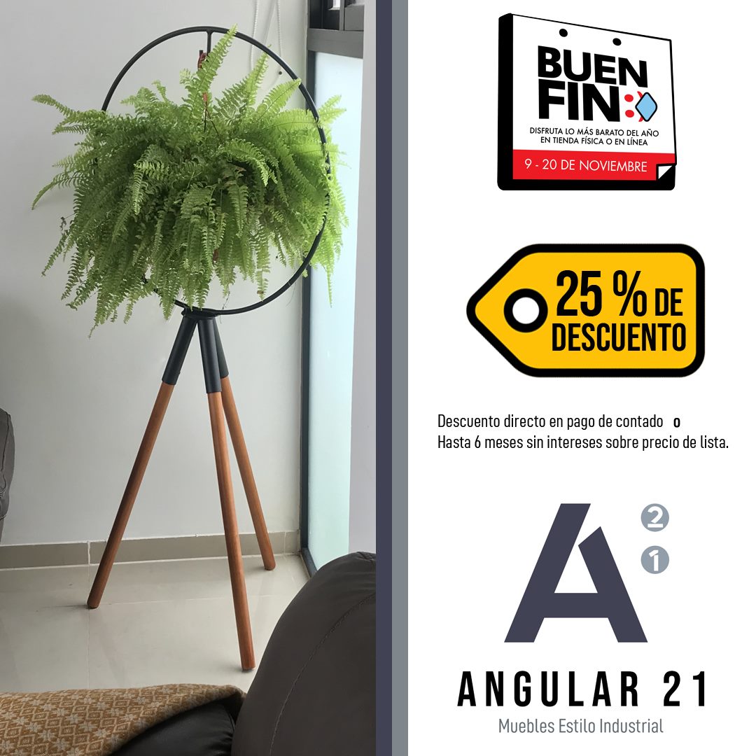 Angular 21 - Un diseño muy original para tus plantas! 🌟 Combinando el ...