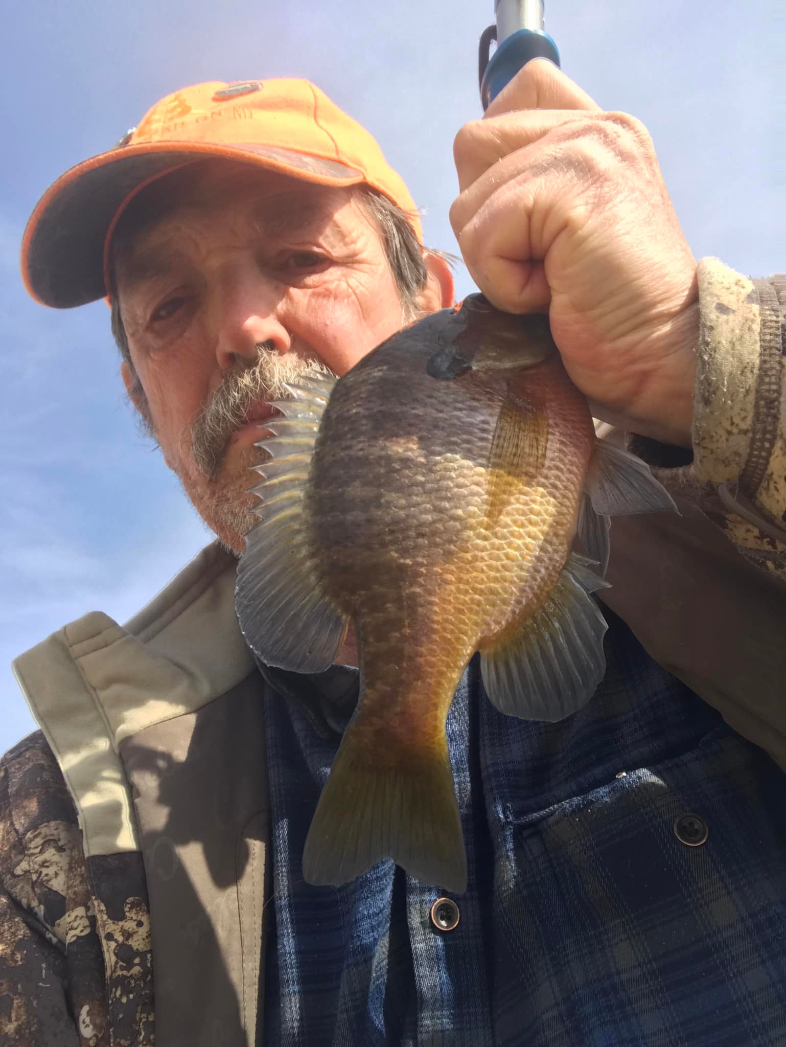 avet mxj mc reel Raptor 6/4 Two Speed Reels Size:50lb Jigging Rebel Wee Crawfish Chartreuse bottom fishing