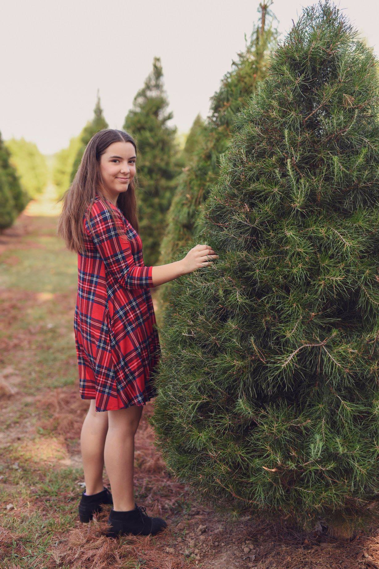 Wonderland Christmas Tree Farm | Pea Ridge AR