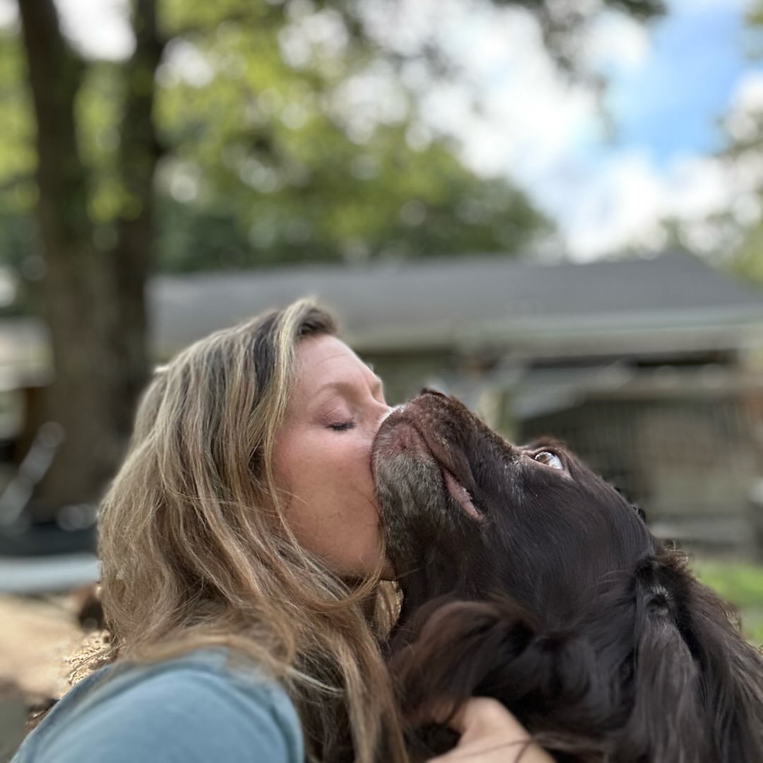 Look at the faces 😆😆😆 ️ Who wants one? #puppies #boykinspanielsociety # ...