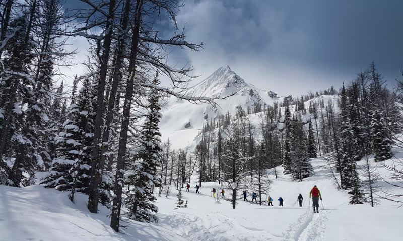 NEW DATES ADDED Introduction to Back... - Paramount Guides | Facebook