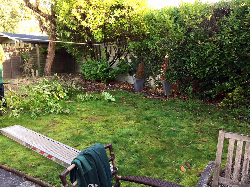 3J's Garden Maintenance & Landscaping | Woking