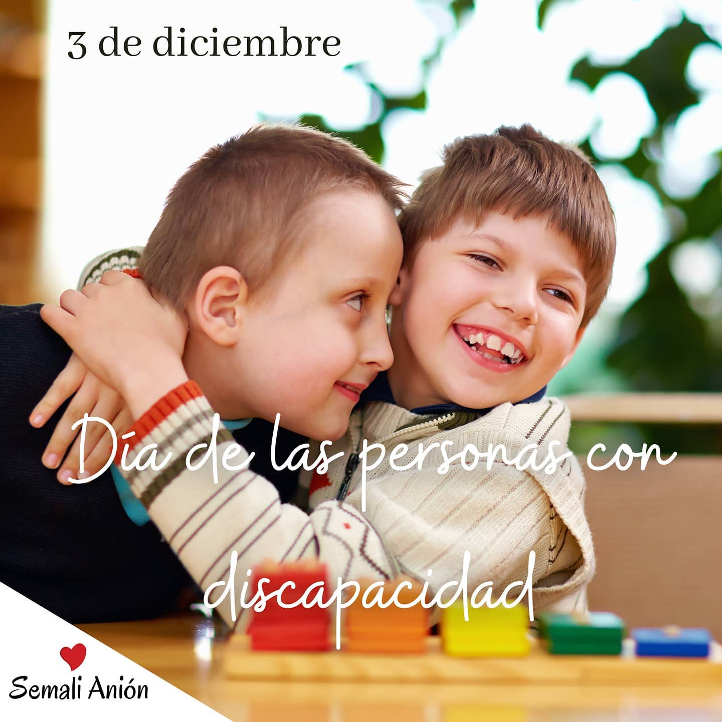 El 3 de diciembre se celebra el Día... - Semali Anion Toallas