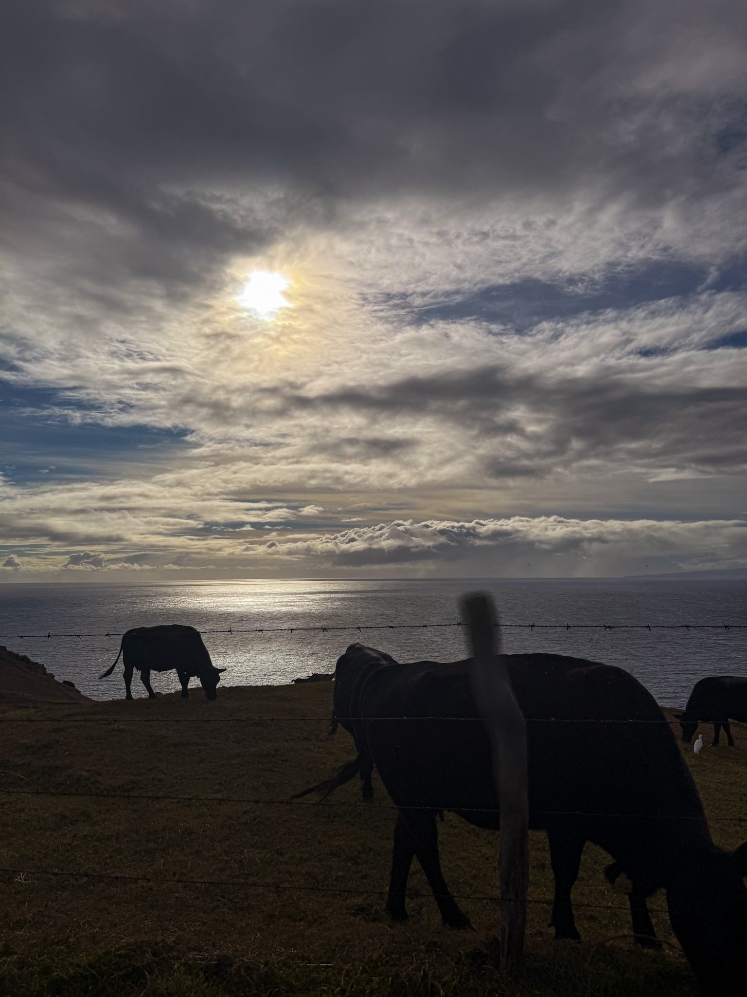 Anna Marsick - Anna Marsick added a new photo — in Maui,...