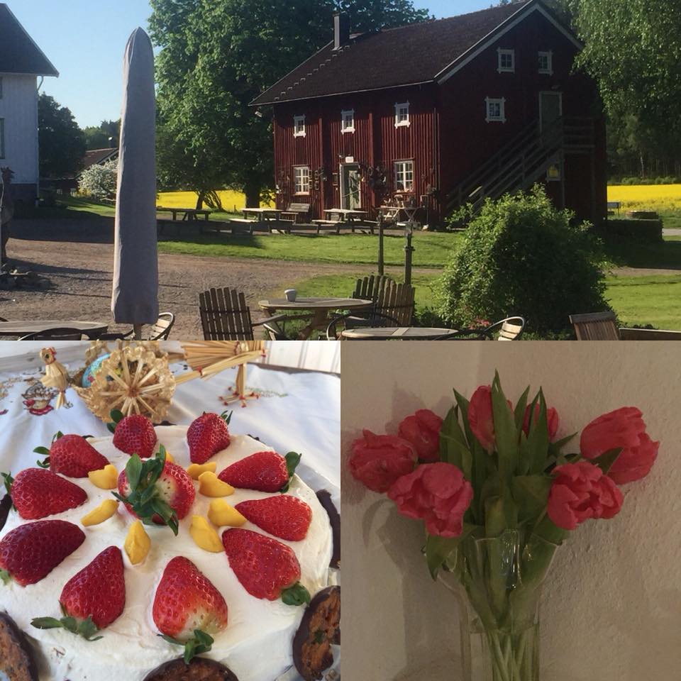 Röe Gård Butik - Morsdag, med solgula rapsfält, sittande 3... | Facebook
