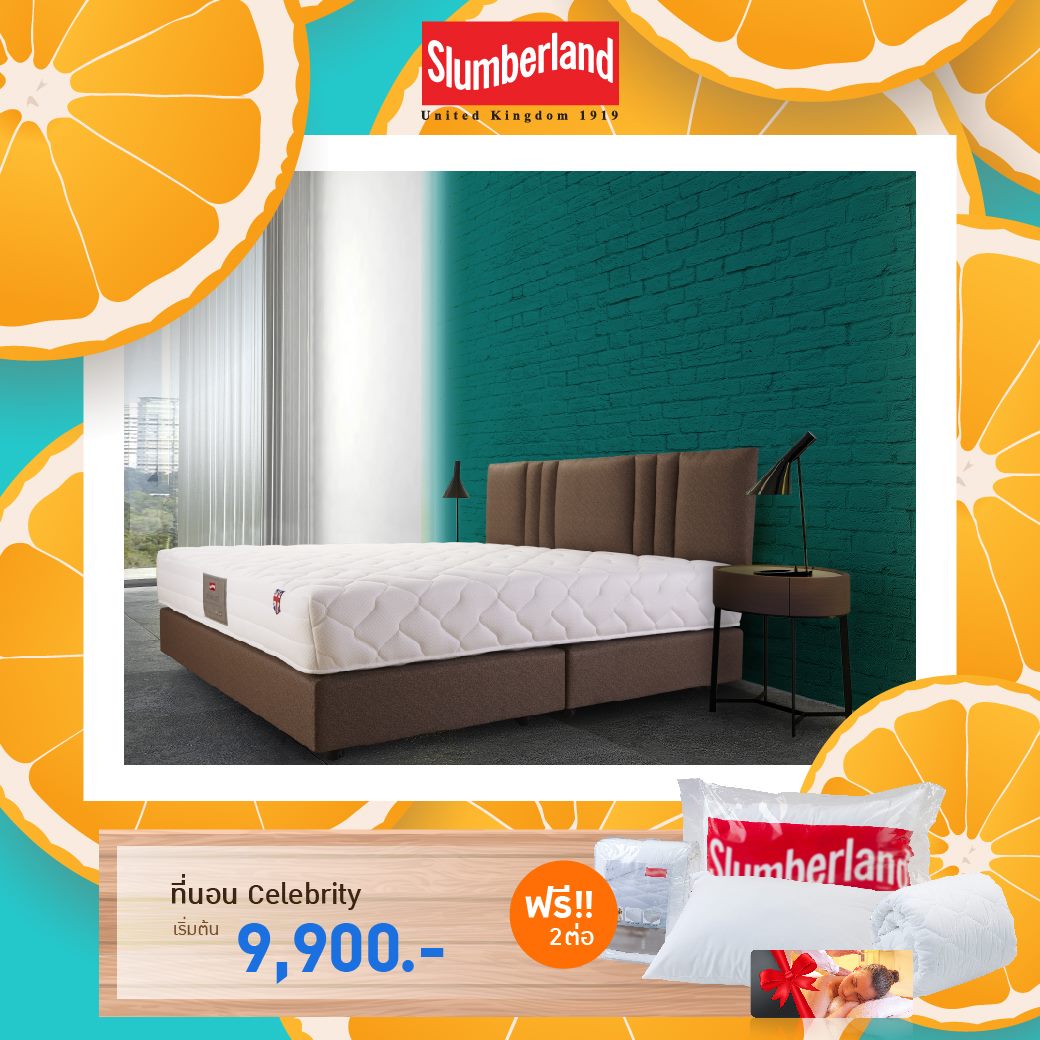 Slumberland - ที่นอน Slumberland รุ่น Celebrity ที่นอนระบบ Pocketed ...