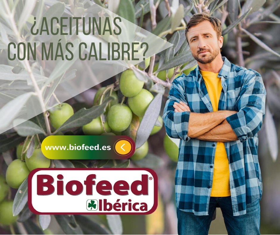 Biofeed Ibérica - 💥¿Has probado con BIOFEED? Revoluciona tu cultivo con ...