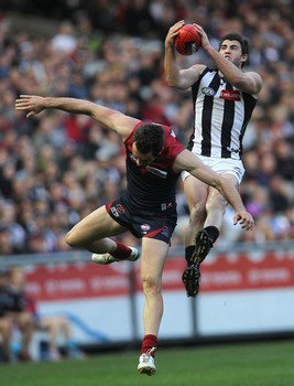 Alex Fasolo