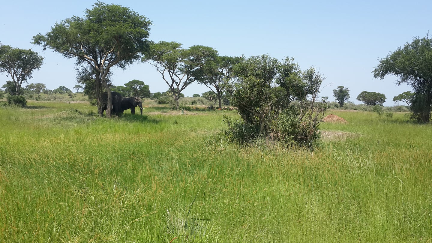 Senwit Tours Uganda