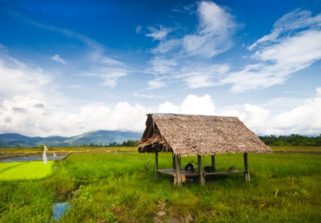 JUAL BELI SUBAIM | Facebook