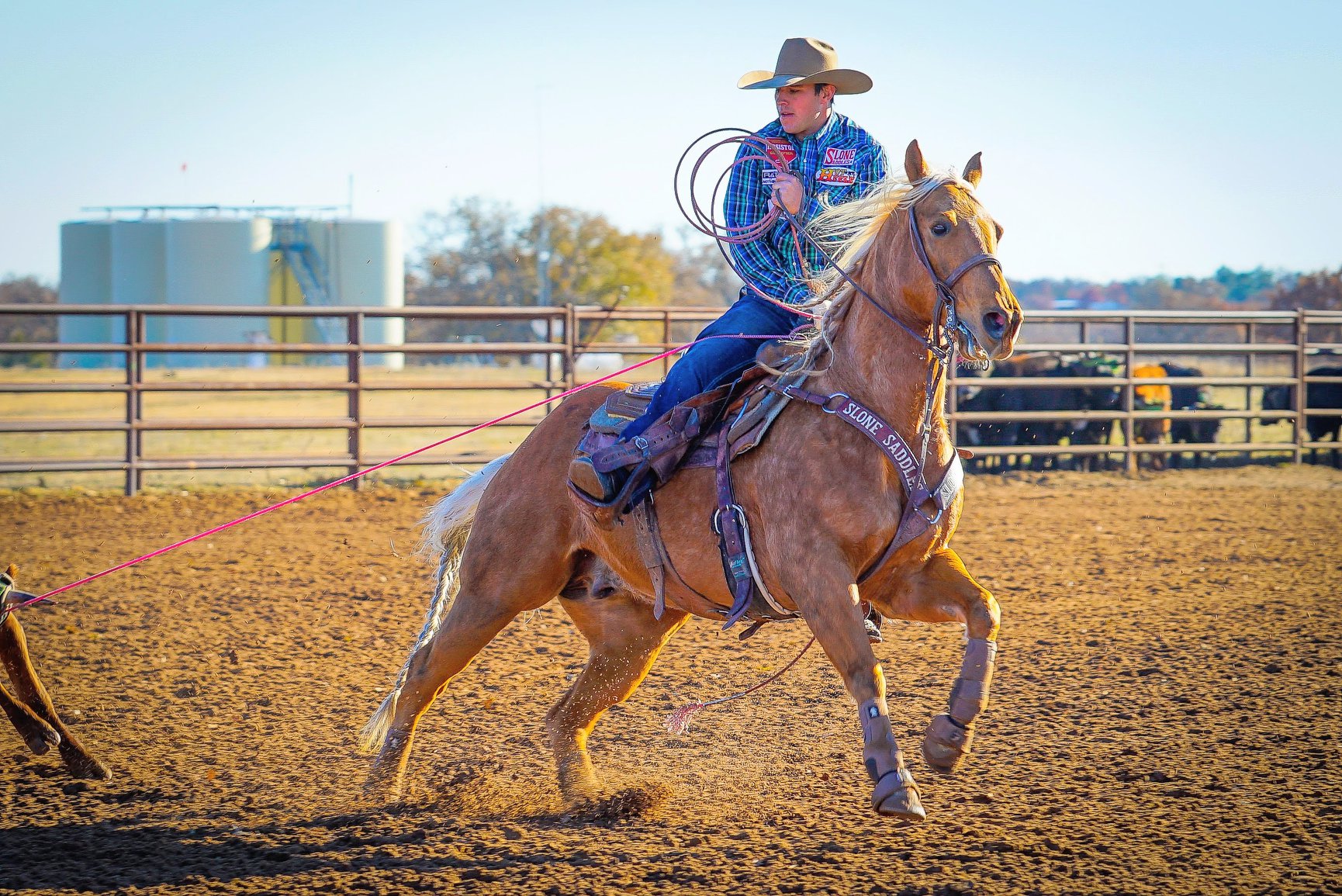 X Factor Roping - The power. The position. The focus. The ...