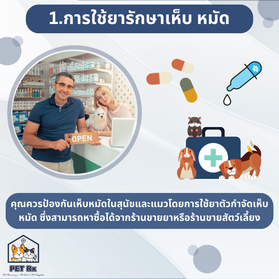 PET Rx - ยาและอาหารสัตว์ | Bangkok