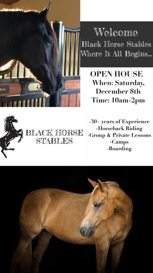 Black Horse Stables Home Facebook