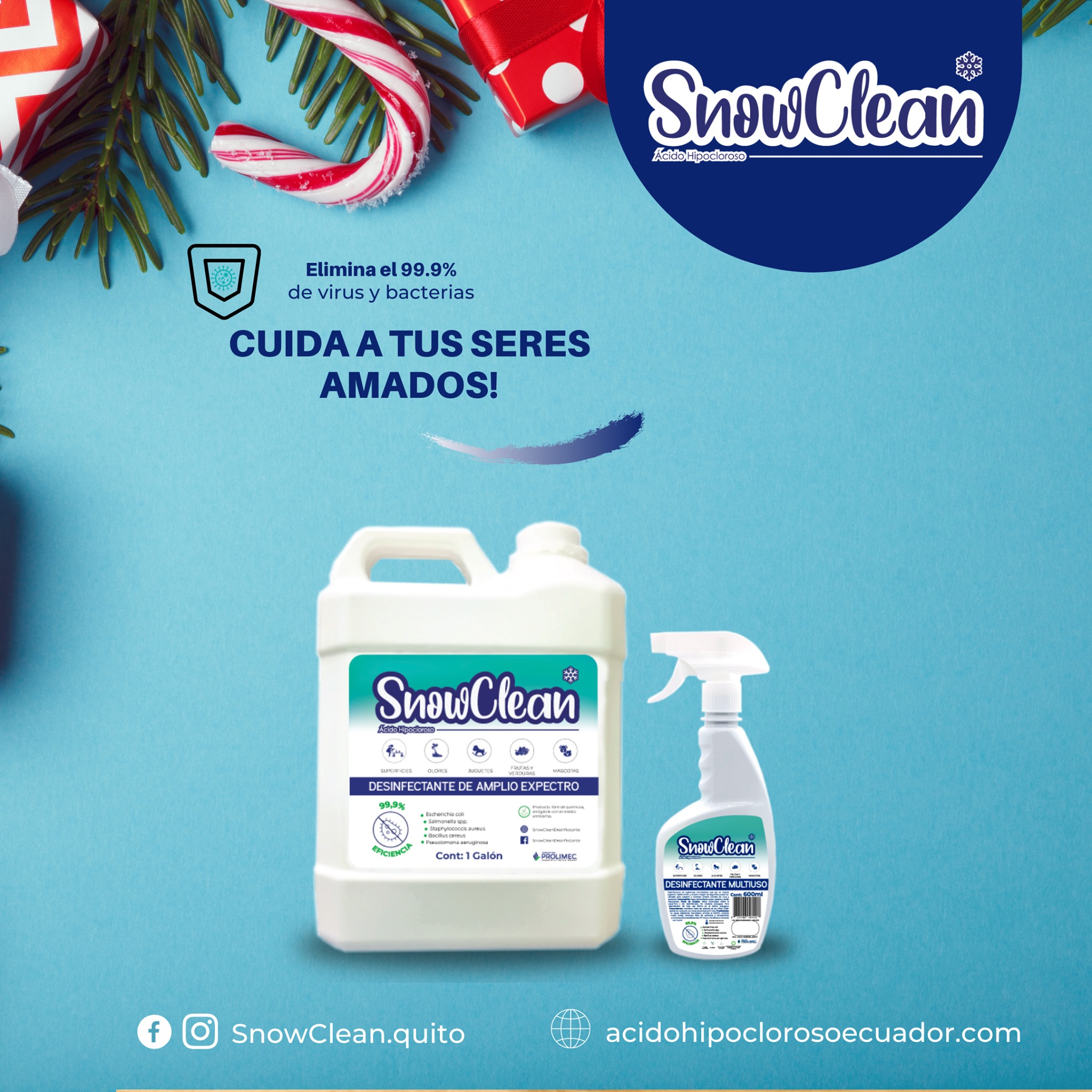 Snow Clean Desinfectante