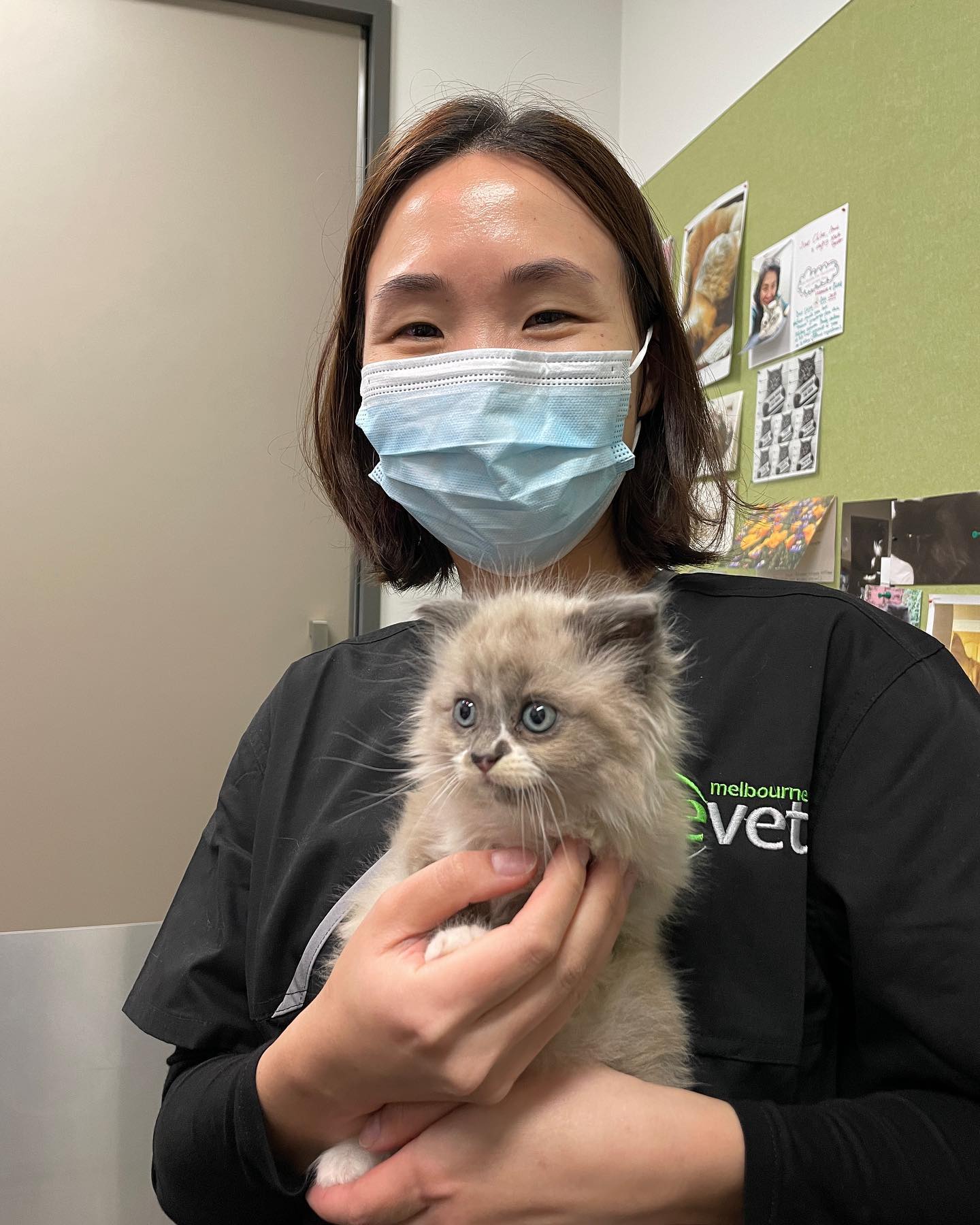 Welcome to Dr Gillian Sim who is our... - Melbourne EyeVet | Facebook
