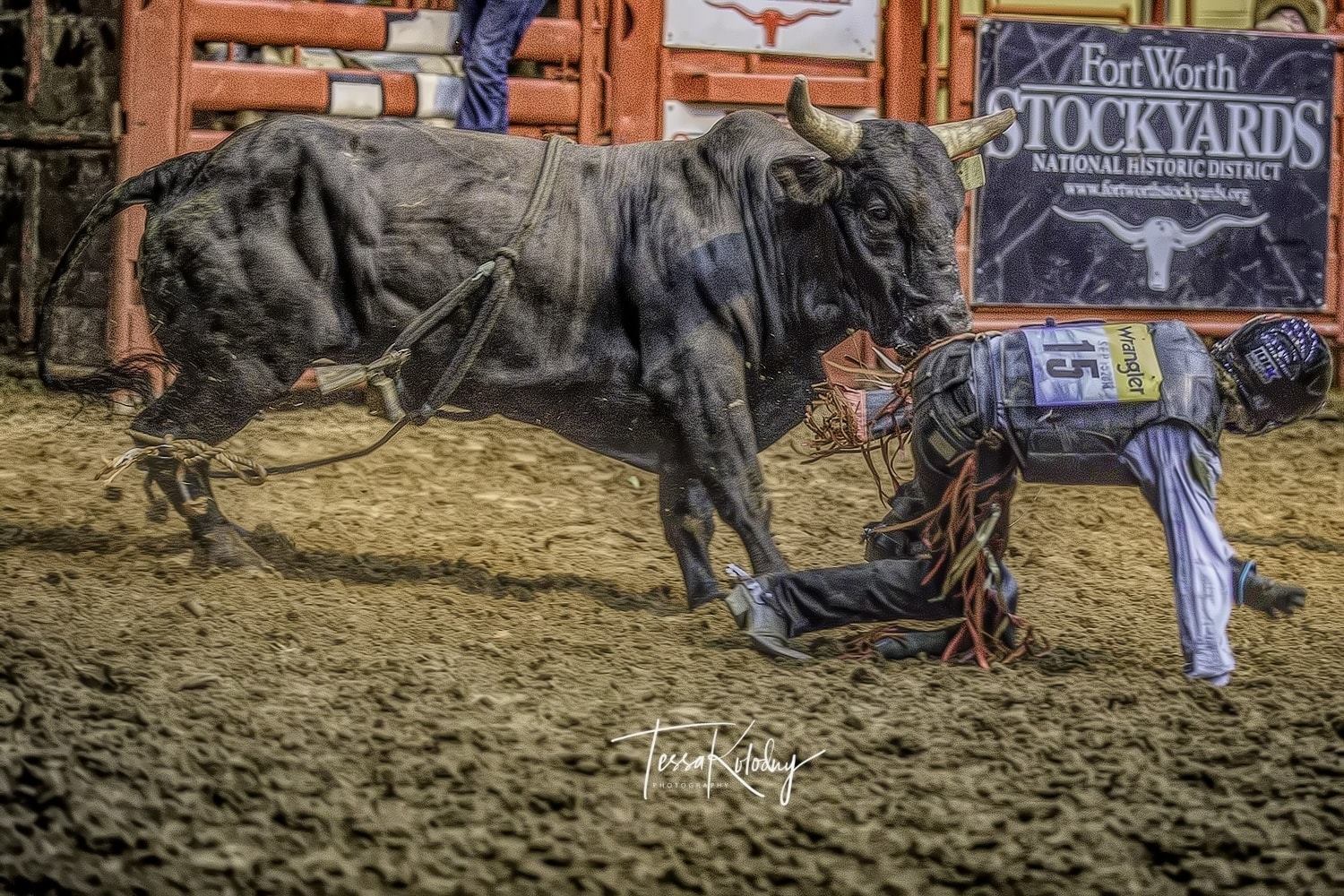 #Caption this for your chance to win... - Cowtown Coliseum | Facebook