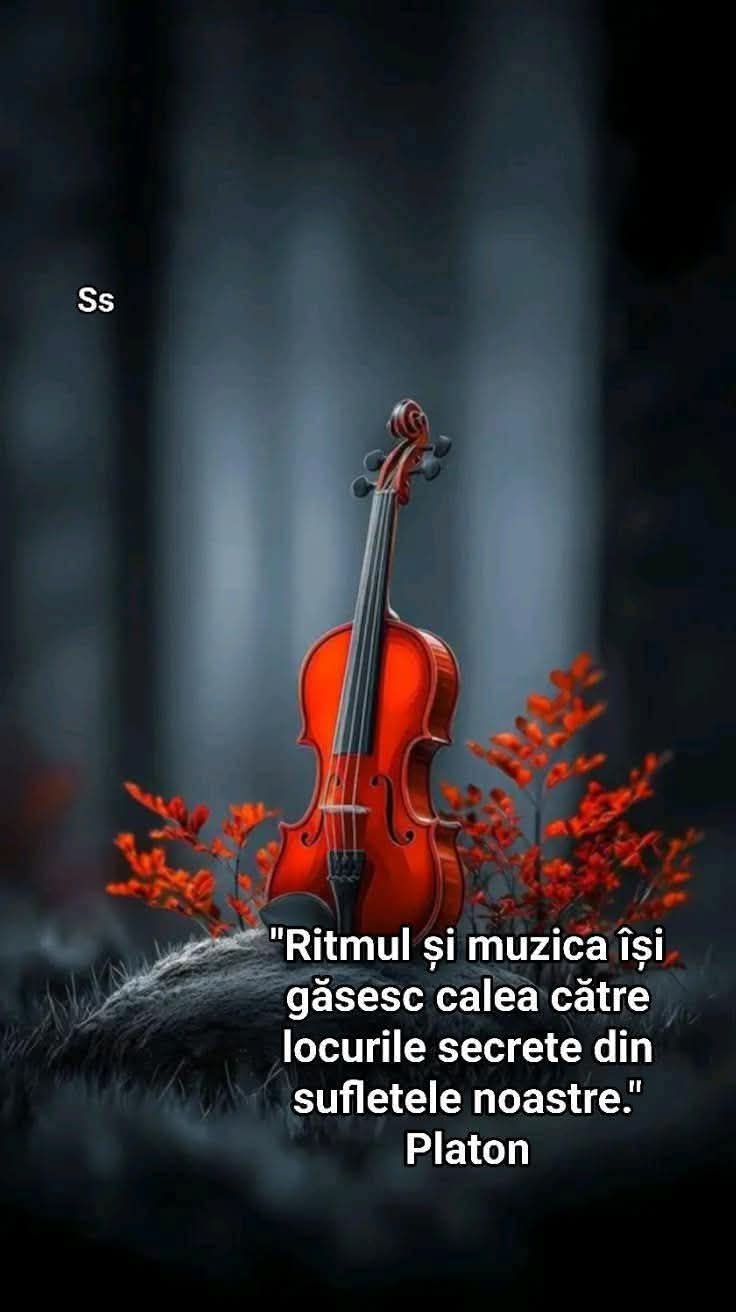 Texte și citate frumos selectate | Facebook