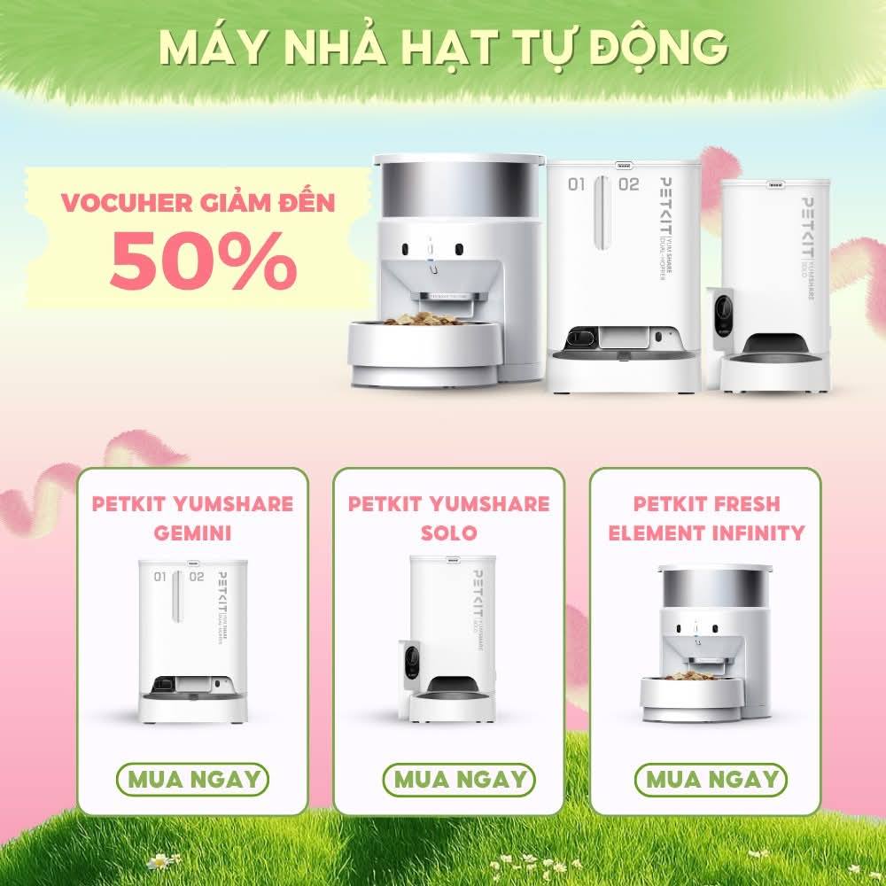 Nhà Toàn Mèo Là Mèo | Facebook