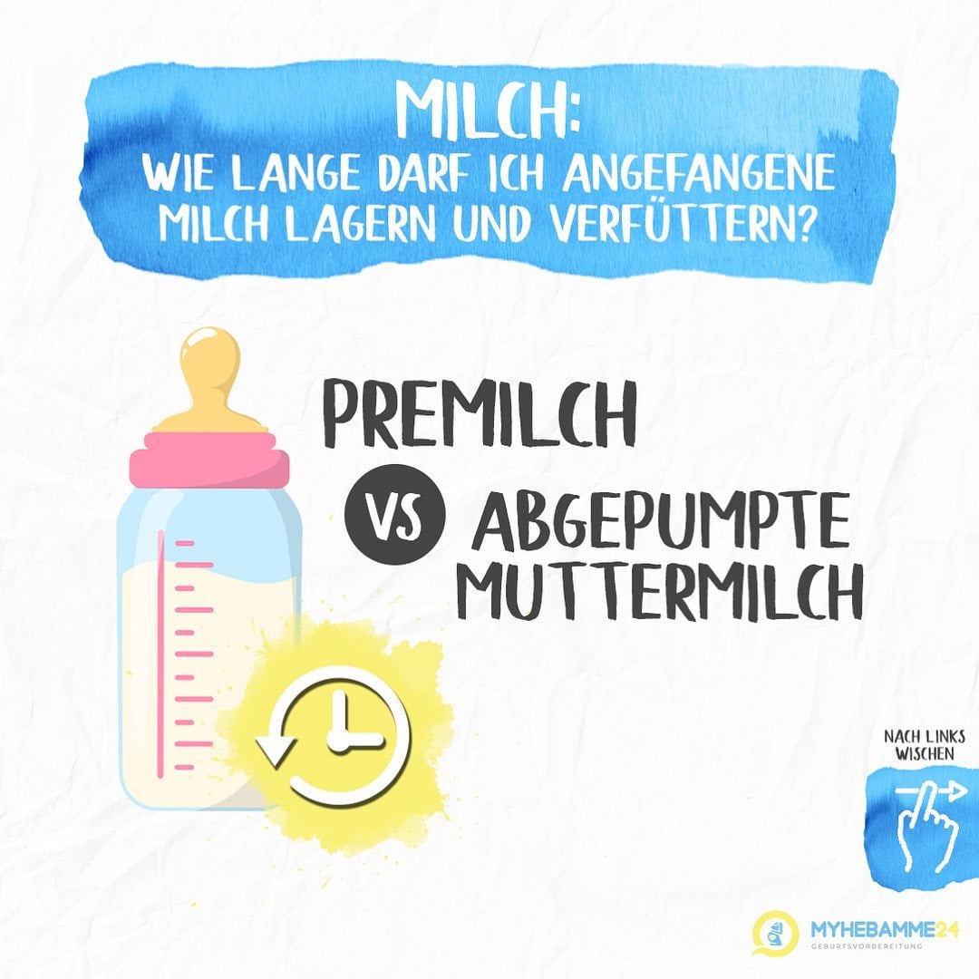 geschenkpapierrollen aufbewahrung Geschenkpapier Tragetasche (2 Stk.) - Geschenkpapier Organizer aufbewahrung und Posterrolle trail helmet with visor Allzu oft ist das Urne zu Hause aufbewahren: Farbe:Mattgrau
