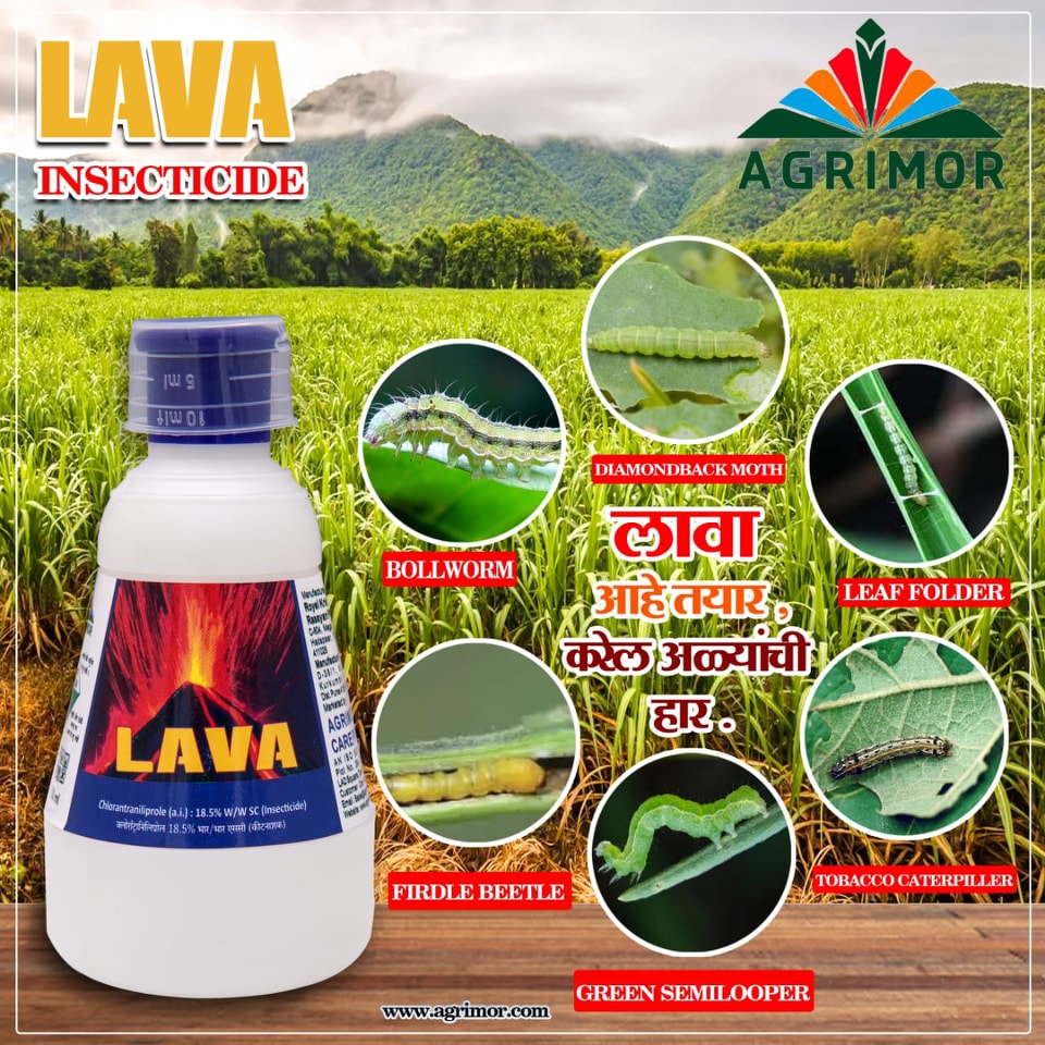 Agrimor Crop Care Pvt. Ltd. | Nagpur