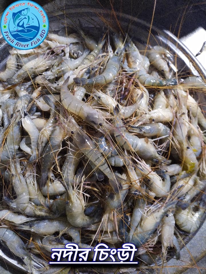 Fresh River Fish.BD | Dhaka