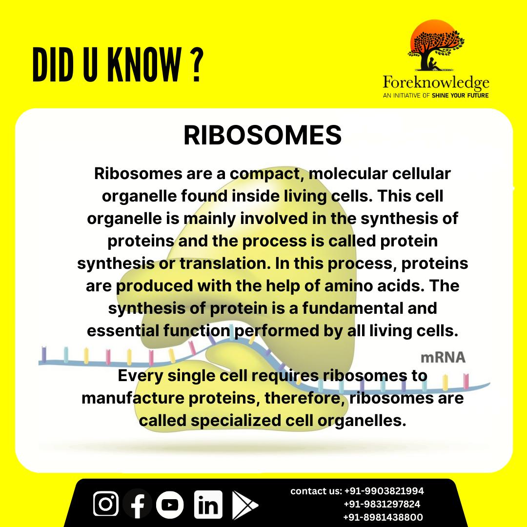 Foreknowledge - 💯Did you know ?? Here's what Ribosomes... | Facebook