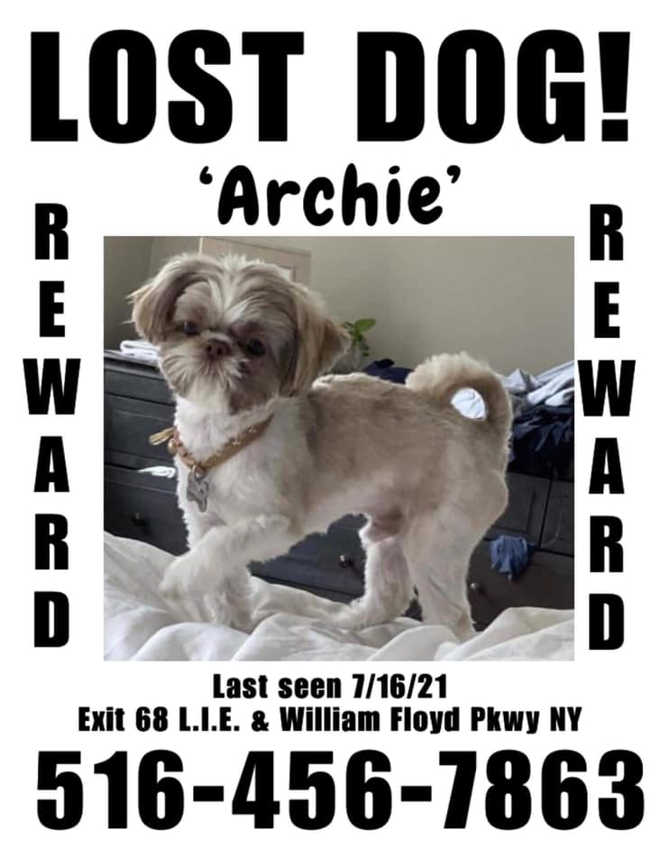 ️7//27/21 ARCHIE IS STILL... - Missing Angels - Long Island | Facebook