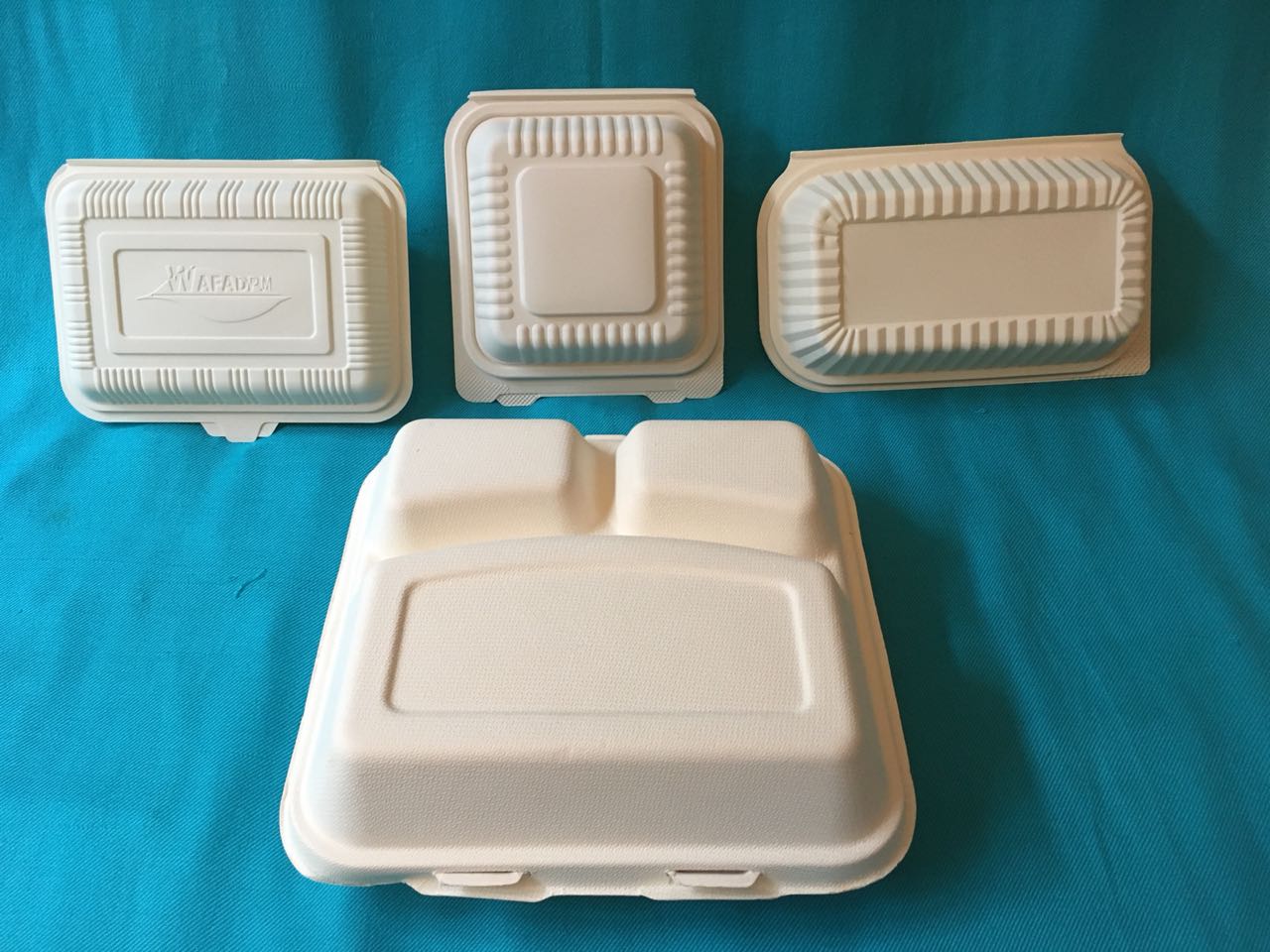 Bioshell - LOS DESECHABLES BIODEGRADABLES ECOSHELL HAN SIDO ...