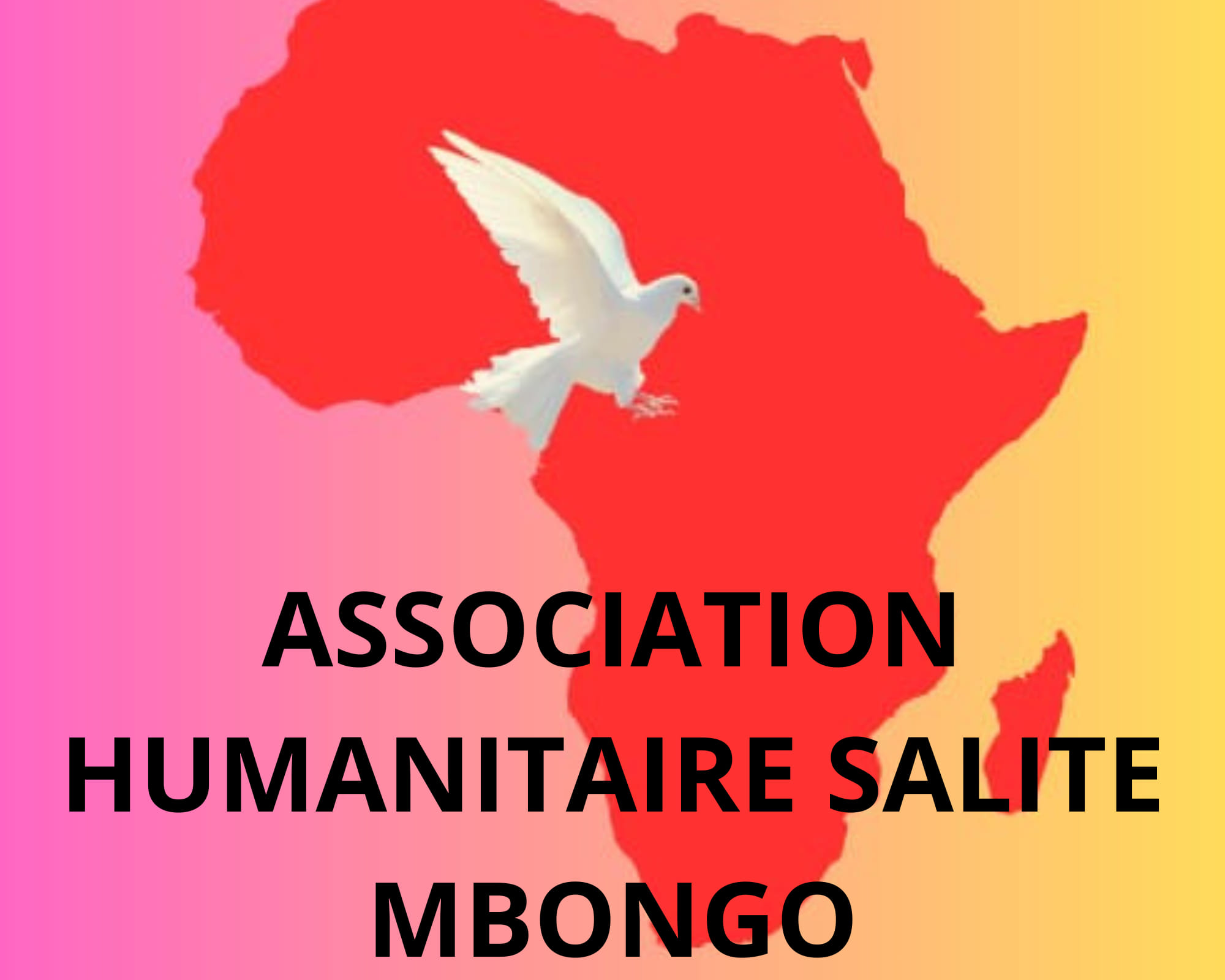 Association humanitaire salite Mbongo | Lyon