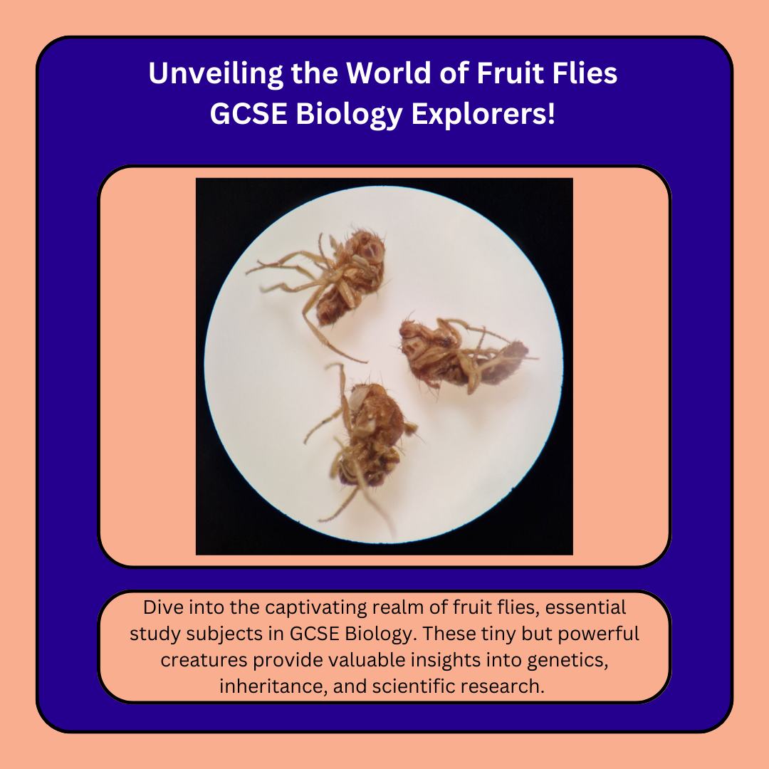 GCSE Prep Zone - 🔬 Animal Testing in GCSE Biology - An...